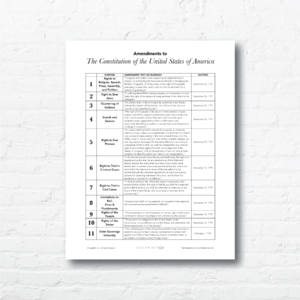 U.S. Constitution Quick Reference Set