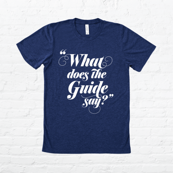 nativity-story-advent-calendar-sagemint